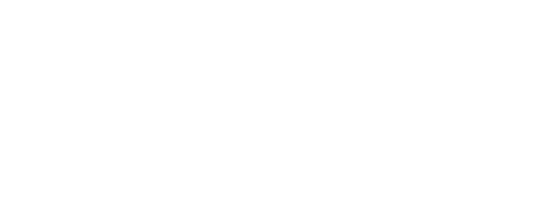 CELJE Fair Logo